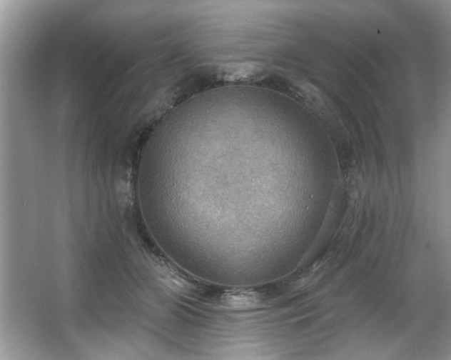 X0000067470510200604071157