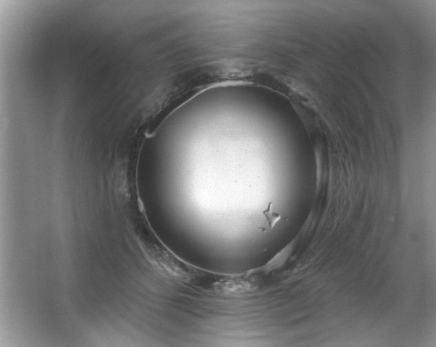 X0000067470512200604071157