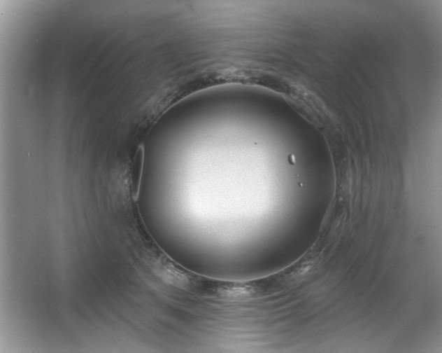 X0000067470513200604071157