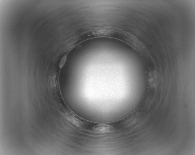 X0000067470514200604071157