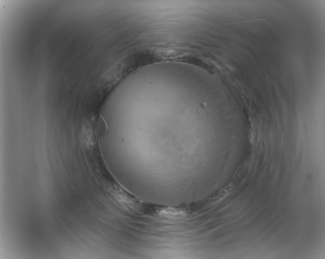 X0000067470515200604071157