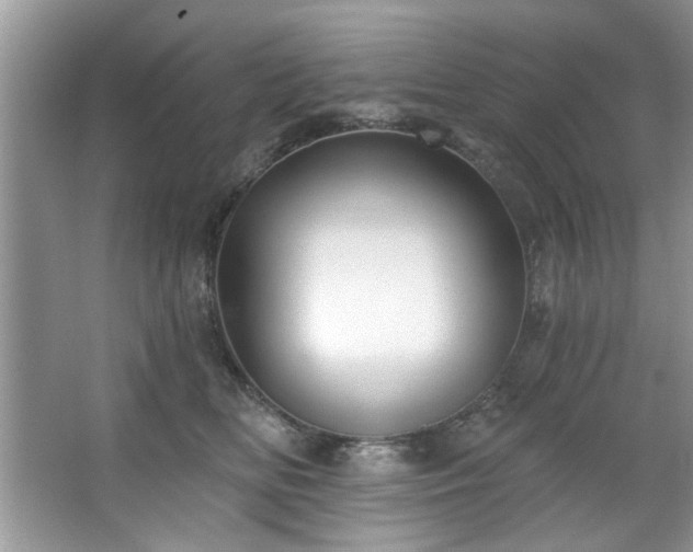 X0000067470518200604071157