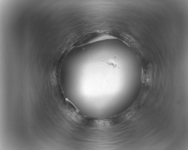 X0000067470520200604071157