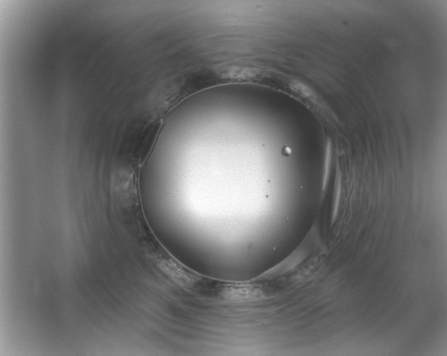 X0000067470521200604071157