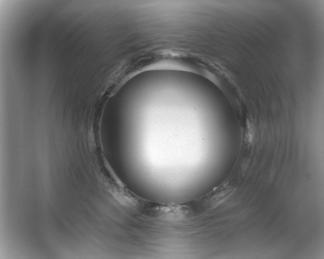 X0000067470524200604071157