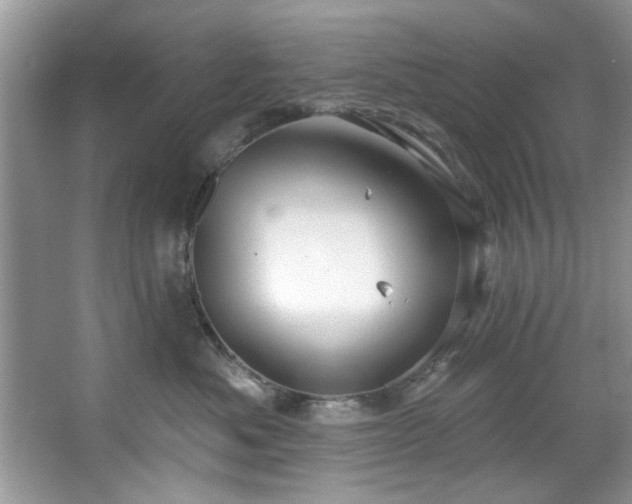 X0000067470525200604071157