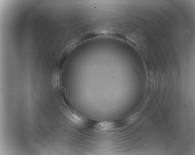 X0000067470526200604071157