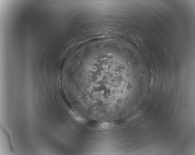 X0000067470527200604071157