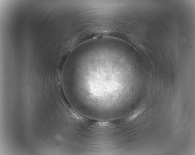 X0000067470528200604071157