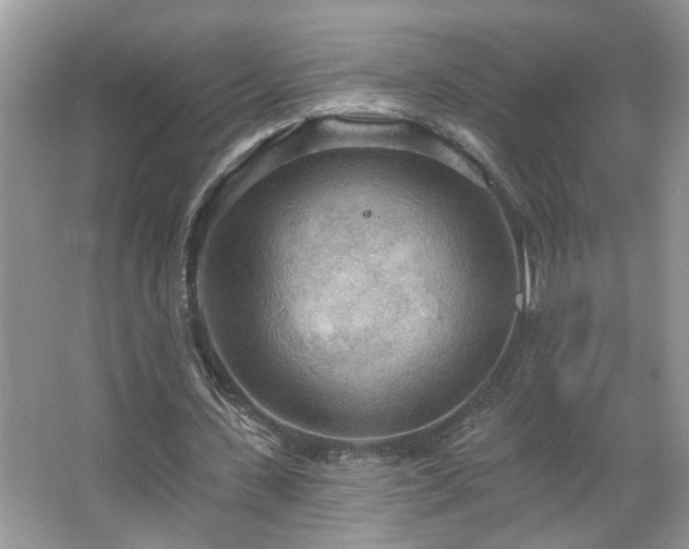 X0000067470531200604071156