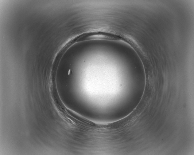 X0000067470532200604071156