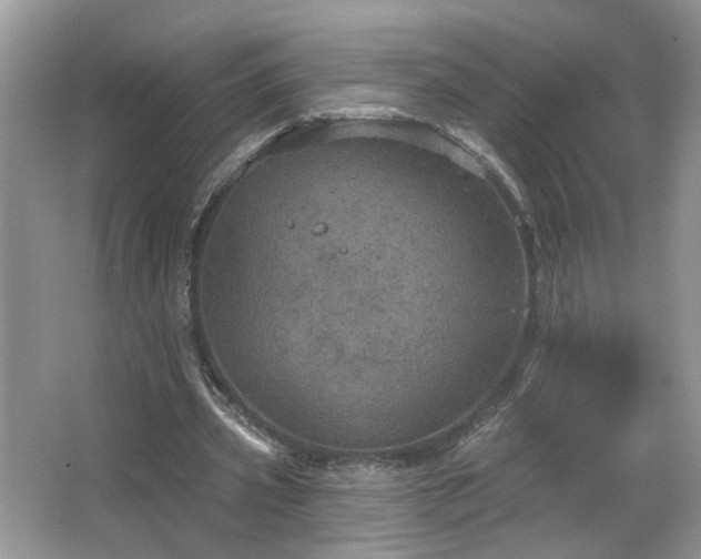 X0000067470533200604071156