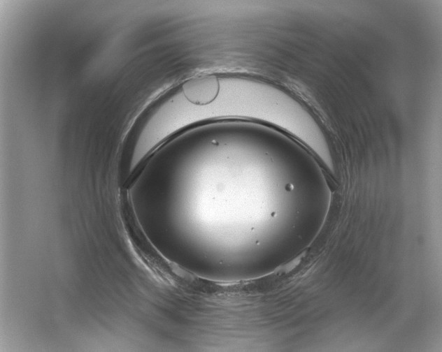 X0000067470534200604071156