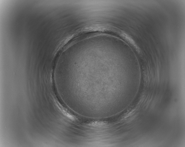 X0000067470537200604071157