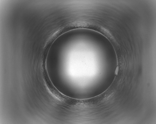 X0000067470538200604071157