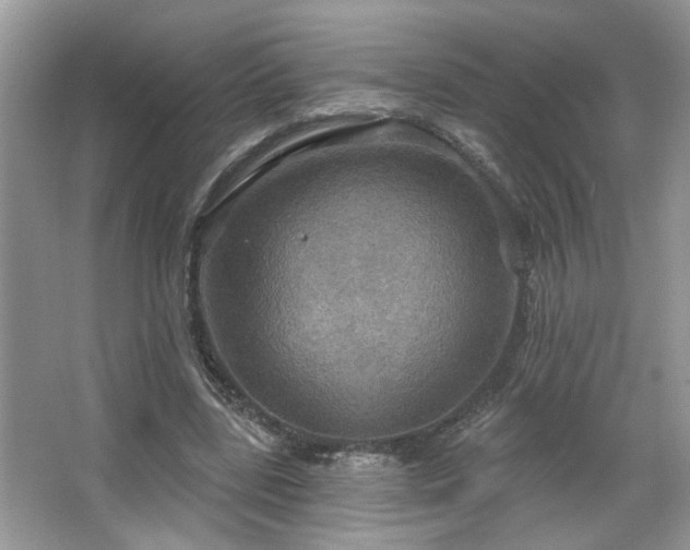 X0000067470539200604071157