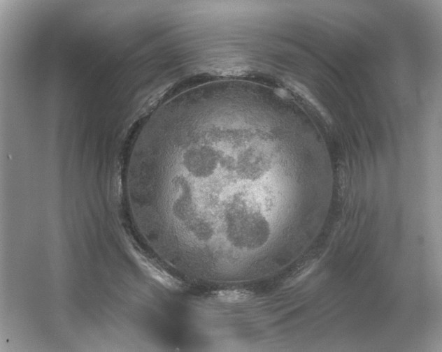 X0000067470541200604071157