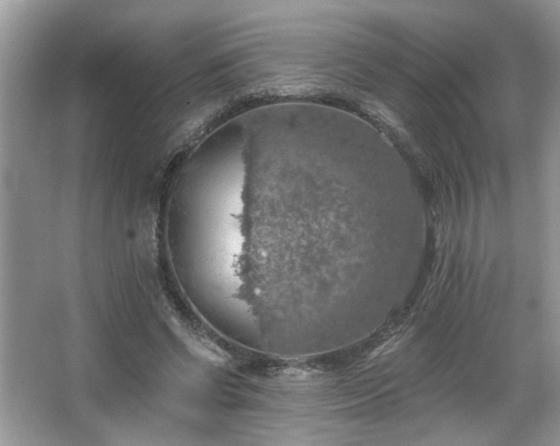 X0000067470542200604071157