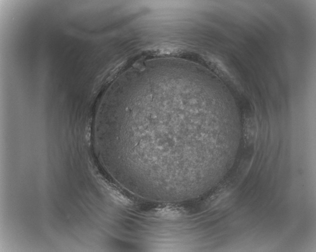 X0000067470545200604071157