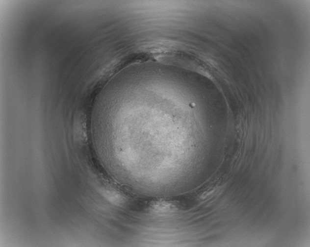 X0000067470547200604071157