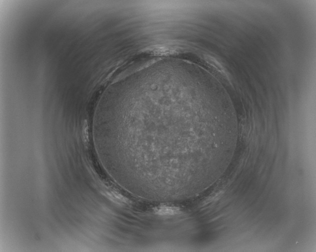 X0000067470549200604071157