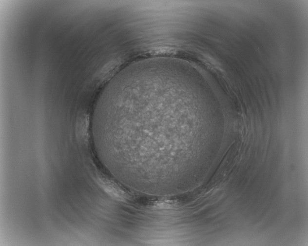 X0000067470550200604071157