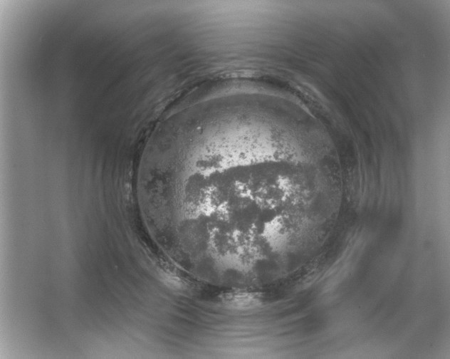 X0000067470553200604071157