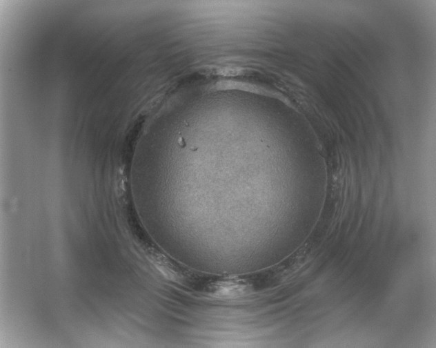 X0000067470555200604071157