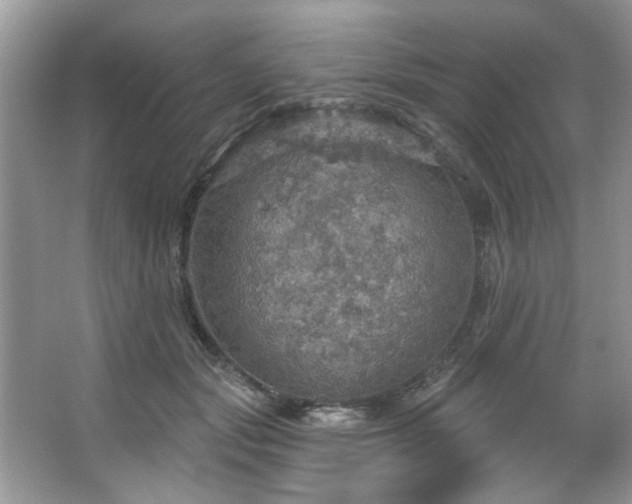 X0000067470557200604071157