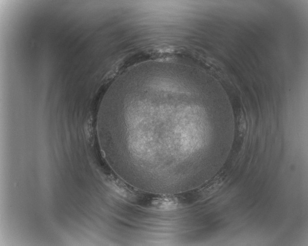 X0000067470559200604071157