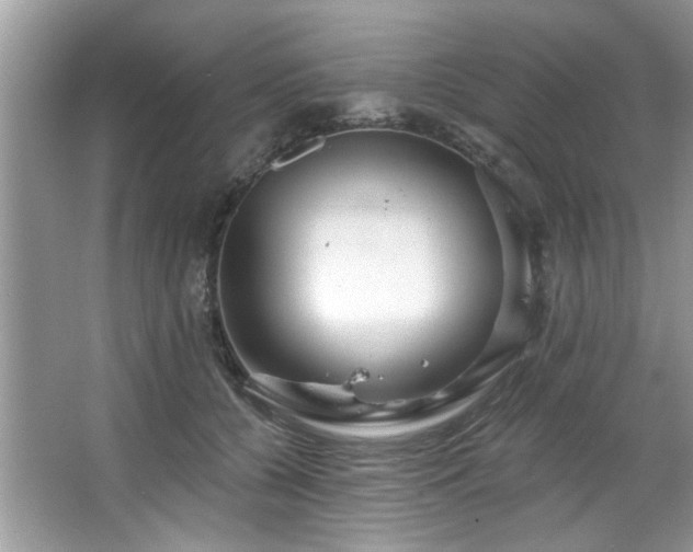 X0000067470560200604071157