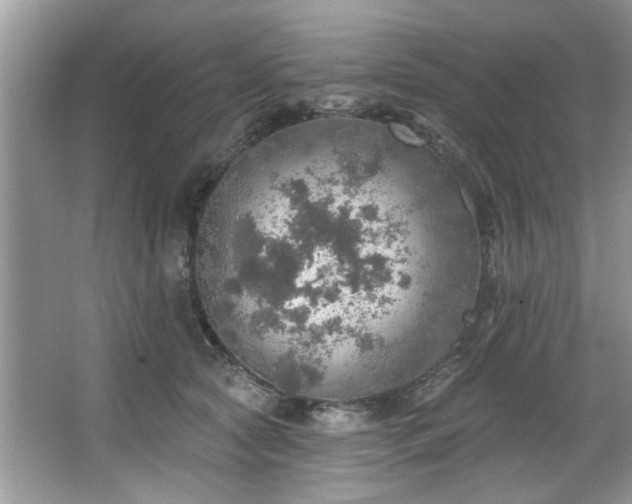 X0000067470561200604071157