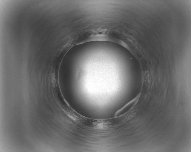 X0000067470564200604071157