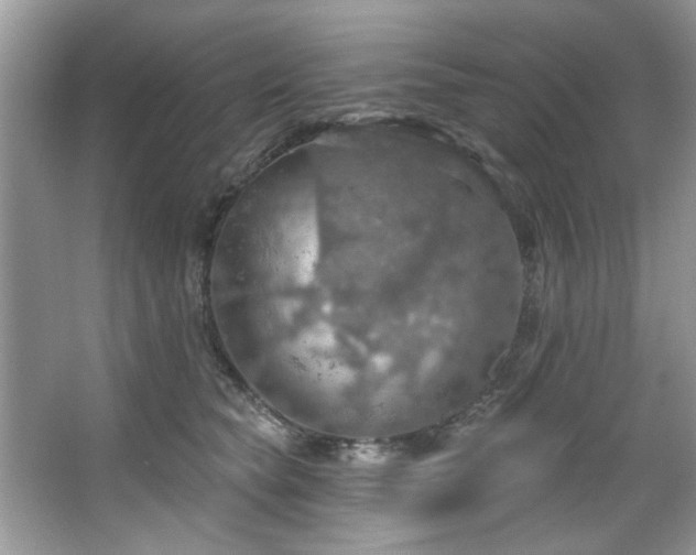 X0000067470565200604071157