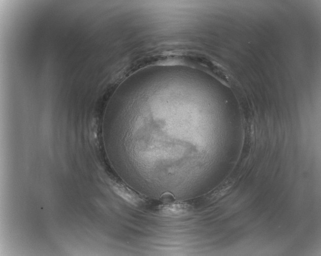 X0000067470567200604071157