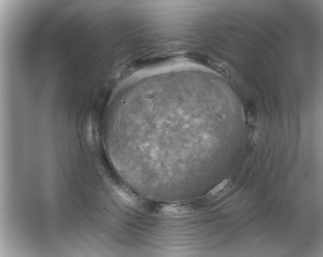 X0000067470568200604071157