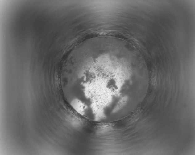 X0000067470569200604071157