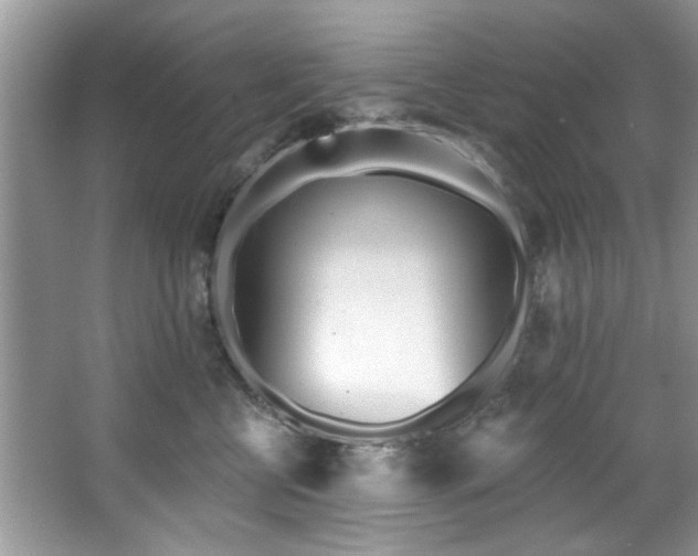 X0000067470570200604071157