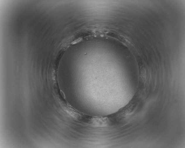 X0000067470571200604071157