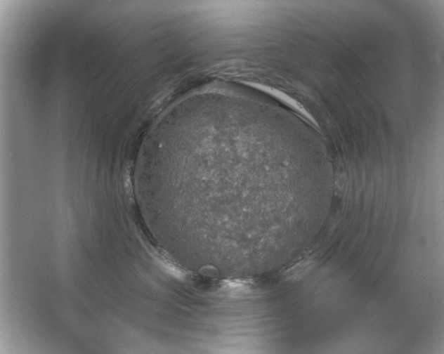 X0000067470573200604071157