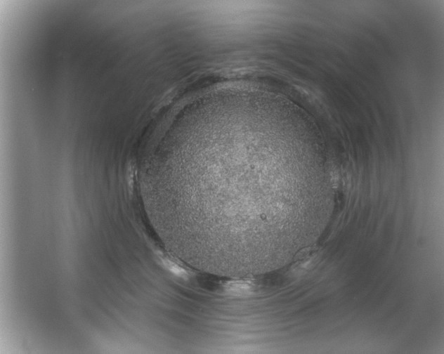 X0000067470574200604071157