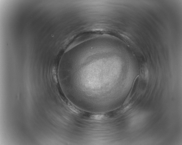 X0000067470575200604071157