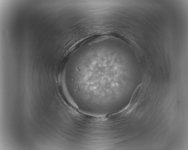 X0000067470576200604071157