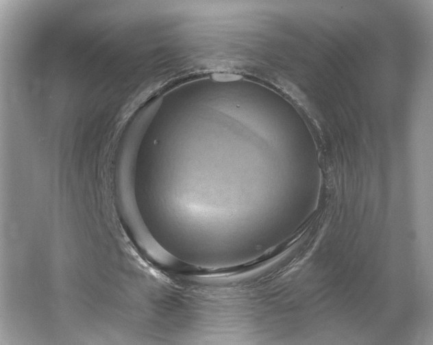 X0000067470577200604071156