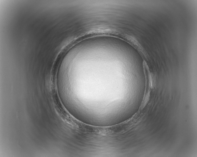 X0000067470579200604071156