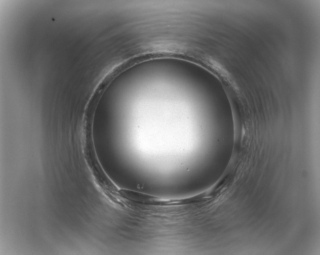 X0000067470580200604071156