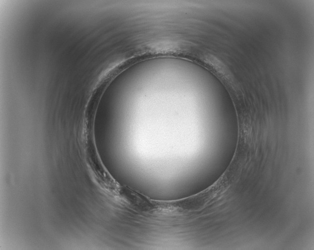 X0000067470583200604071156