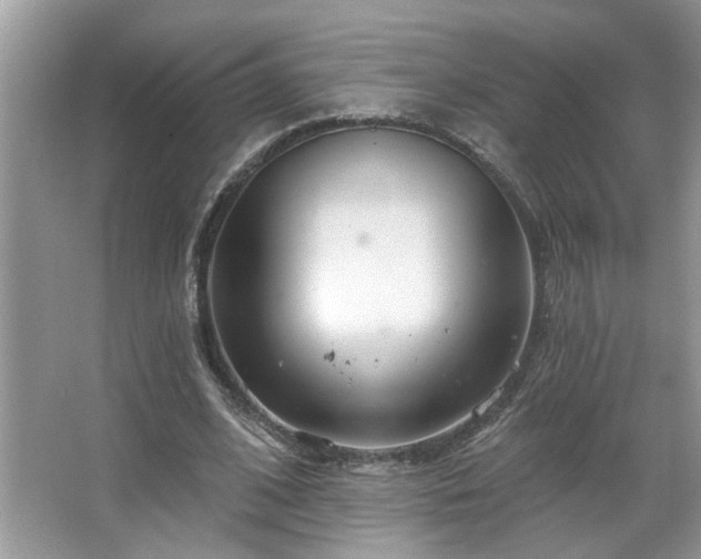 X0000067470584200604071156