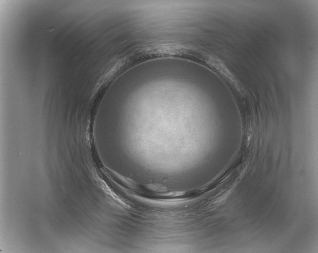 X0000067470585200604071156