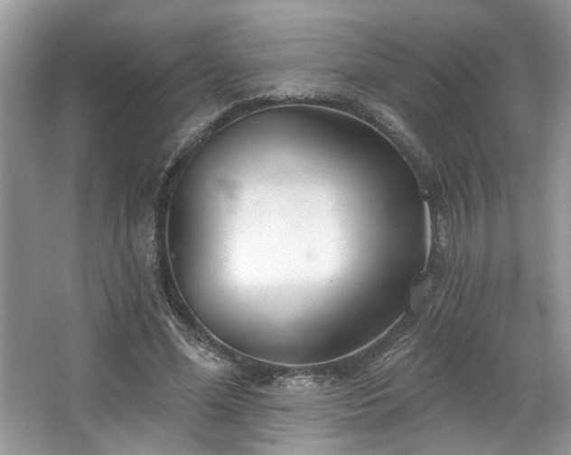 X0000067470588200604071156